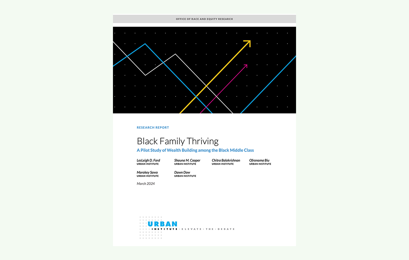 Black Family Thriving: A Pilot Study of Wealth Building among the Black Middle Class